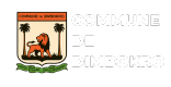 mairiededimbokro.ci